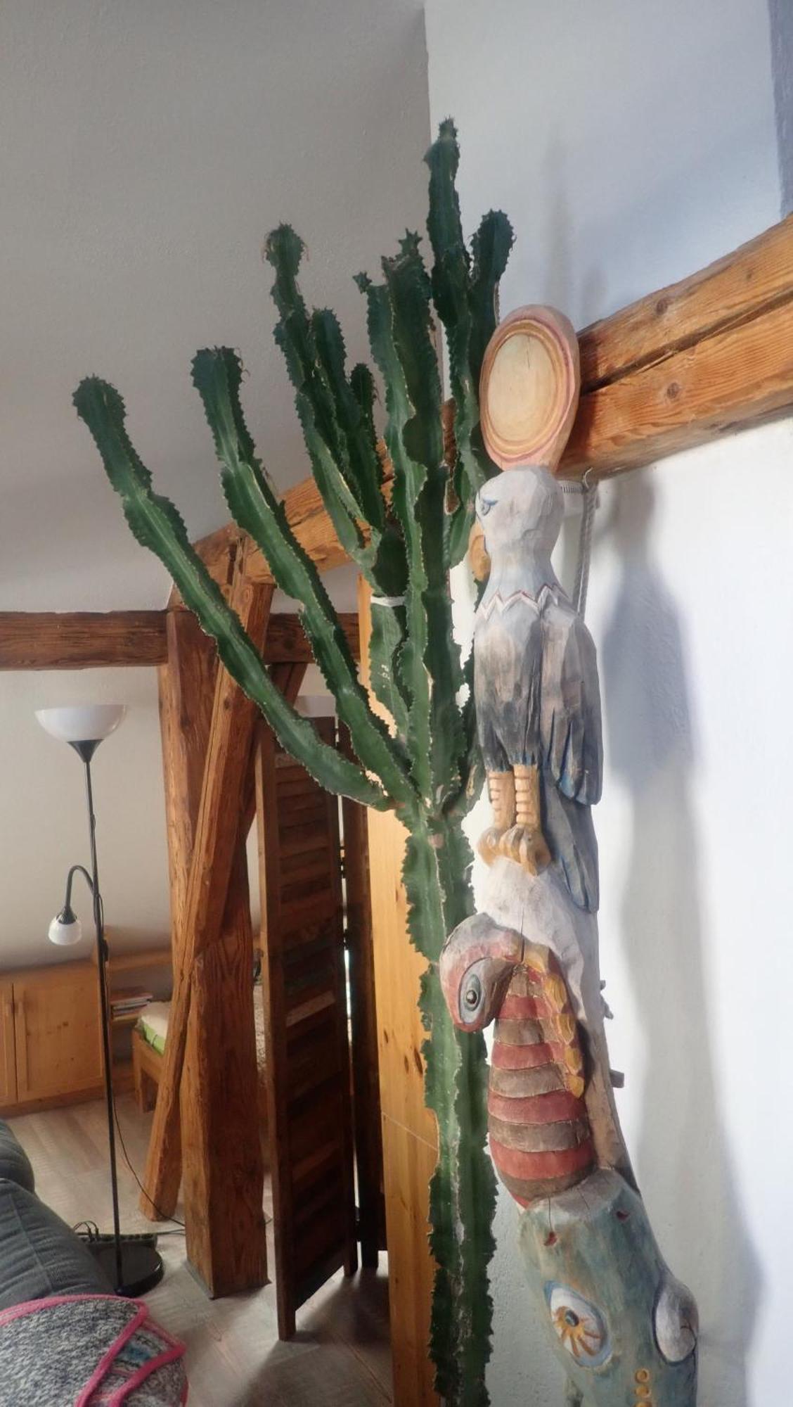 Im Juchhe Apartman Peiting Kültér fotó